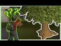 Forestry Guide 2026