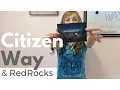 Download Lagu I Will (Citizen Way) by Skylar Kaylyn