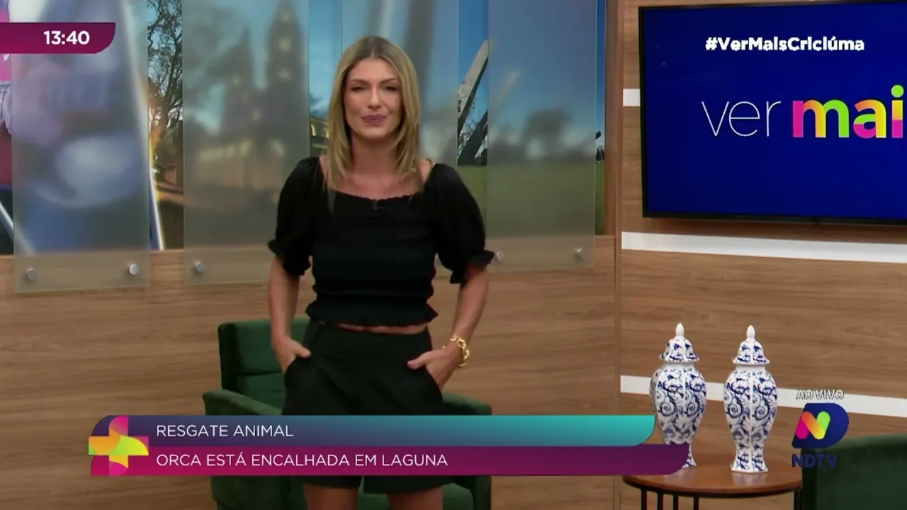 Resgate animal: orca é encontrada na faixa de areia em praia de Laguna