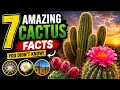 7 Amazing Cactus Facts That Will Blow Your Mind
