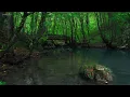 Wash Away Stress | Gentle Rain Sounds & Deep Sleep Melodies