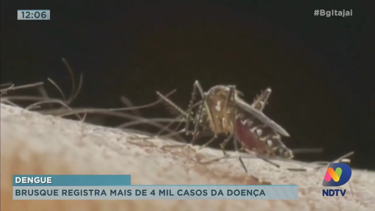 Brusque registra mais de 4 mil casos de dengue