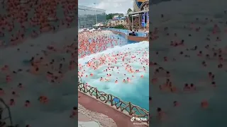 سباق مال بدون ملابس 