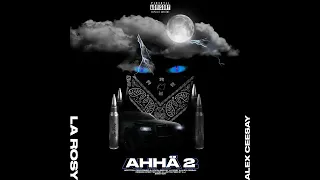 الاغنية الاتي اترت الفوظاء في التيك توك اضرب شهبندر عسكر 