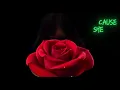 Evil Is Contagious | Lyric Video | By TX2 Ft. Reel Big Fish