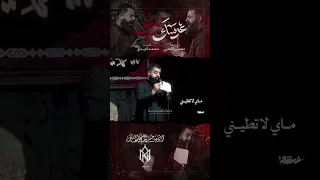 عرسك بواچي _ ملا مجتبى الكعبي 2026 جديد