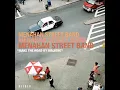 Menahan Street Band - Make the Road by Walking - SOUL / FUNK 2008