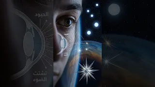 ليه بنرسم النجوم بالشكل ده     دندنها