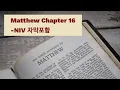Matthew 16 NIV BIBLE with text