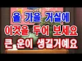 Download Lagu 올 가을 거실에 이것을 한번 두어 보세요. 분명 큰 운과 복이 생길 겁니다.