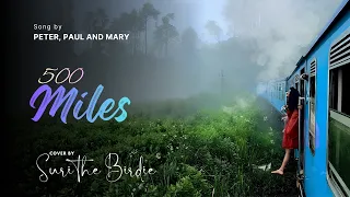 500 Miles – Peter, Paul and Mary | Beautiful Cover by Suri the Birdie