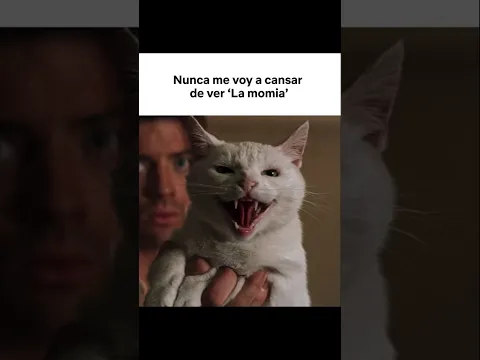 Soy yo mostrando al michi cuando vienen visitas 🐱⚰️ 'La momia', ya disponible en Netflix.
