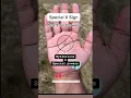 Download Lagu Palmistry - special X sign powers #palm #reading #reels #videos #rich #x #shorts #wealth