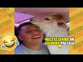 Download Lagu OS MELHORES MEMES DA INTERNET | TENTE NÃO RIR #108