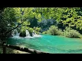 Beautiful Relaxing Music 2026 to Stop Overthinking 🌿 Nature Sounds to Stress Relief & Deep Sleep