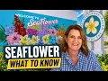 SeaFlower in West Bradenton Is This New Community Worth Considering
