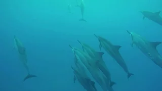 15-09_syZERO sailing_Aloha Maui 1