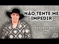 Download Lagu Natanzinho Lima - Não Tente Me Impedir | Repertório Novo