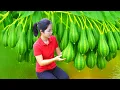 Download Lagu Harvesting 1000 + Kg Wild Watermelon, Orange Garden To Sell At Market | Tieu Ca -Free Bushcraft