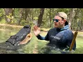 Gator Attack what would I do