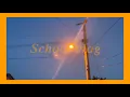 Vlog