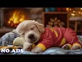 12 Hours Of Relaxing Dog Music Calming Music for Dogs Healing Sounds for Peaceful Sleep