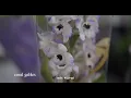 Download Lagu Isik Kural - coral gables (feat. spefy)