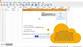 Spearman Correlation in SPSS