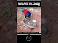 burung bubut sang pemakan ular ber bisa #burung #ular #beritaterkini #shortvideo #shorts