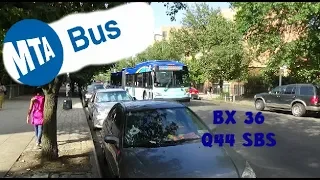 MTA NYCT Bus Bx36 Q44 SBS Bus Action E 178-180th St - Boston Rd