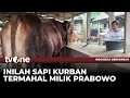 Download Lagu Harga Sapi Kurban Presiden Prabowo untuk Blitar jadi yang Termahal | Indonesia Berkurban tvOne