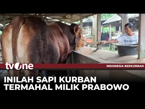 Harga Sapi Kurban Presiden Prabowo untuk Blitar jadi yang Termahal