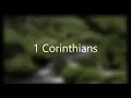 The Book of 1 Corinthians - New King James Version NKJV