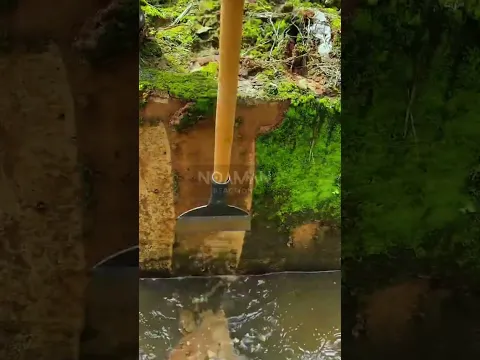 Scraping Moss off Wall 🧱 #noamanreaction #asmr #satisfying