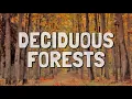 What Is a Deciduous Forest Biome