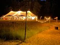 Download Lagu Zomerlicht festival 29 juni- 6 juli 2025