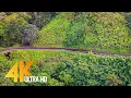 Road to Hana Part - 4K Scenic Drive with Music 3 HRS
