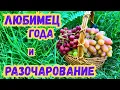 Download Lagu Виноград 2025: фавориты и разочарования сезона!