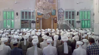 يا ليت لي نظرة اشفي بها سقمي  منشد الحضرة النبهانية محي الدين العمر رحمه الله دندنها