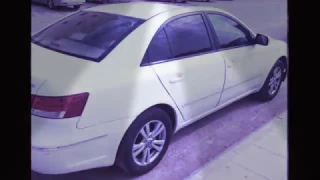 رجبني بلسونتا ول يا أمير خلي عدادك 100 بس أوعى طير 