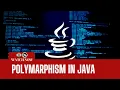 Tutorial 9 Polymorphism Java Subhabrata Bhattacharjee