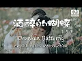 Download Lagu 崔偉立 - 酒醉的蝴蝶 Drunken Butterfly【Lyrics Introduction】\u0026【動態歌詞Lyrics】 Chinese Music Chinese Song 2020