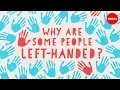 Download Lagu Why are some people left-handed? - Daniel M. Abrams