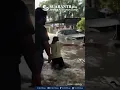 Download Lagu Banjir Terjang Bali, Sejumlah Mobil Hanyut Terbawa Arus