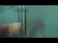 Alicks - ()4