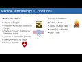 Medical Terminology - The Basics