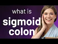 Sigmoid colon what is SIGMOID COLON definition