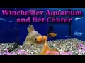 Winchester Aquarium Pet Center in Winchester VA
