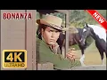 Download Lagu Bonanza 2025 | Part 539 | Western Series | FULL EPISODES | The Best Cowboy TV Series 2025
