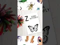 Insect Flashcards for Kids Printable Learning for Toddlers Preschoolers